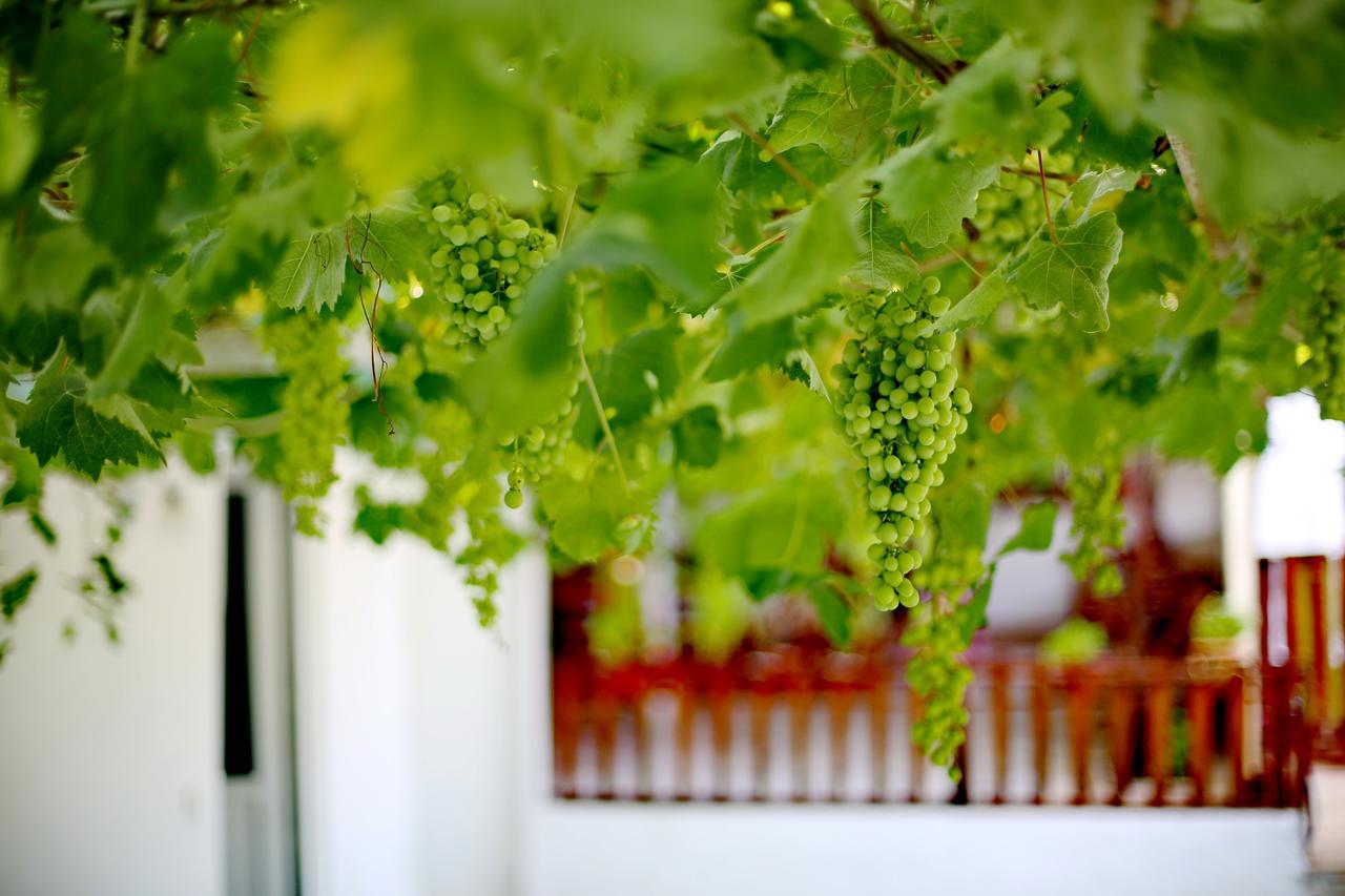 Sulo Pension Patara Kültér fotó